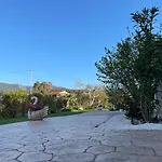 شقة Sandra