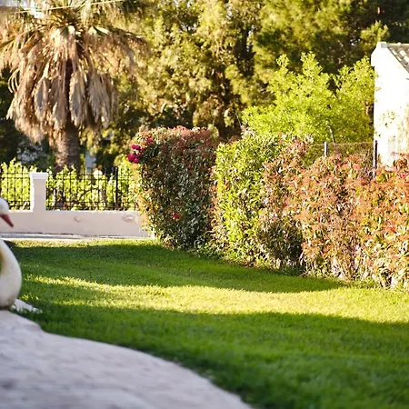 Sandra Апартаменты
